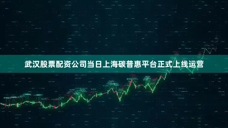 武汉股票配资公司当日上海碳普惠平台正式上线运营