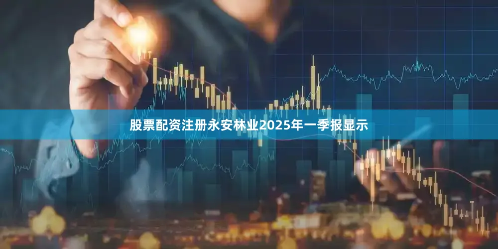 股票配资注册永安林业2025年一季报显示