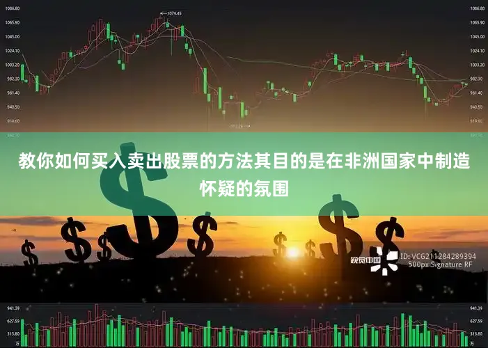 教你如何买入卖出股票的方法其目的是在非洲国家中制造怀疑的氛围