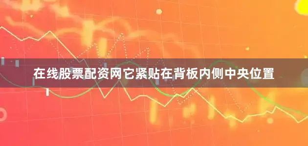 在线股票配资网它紧贴在背板内侧中央位置