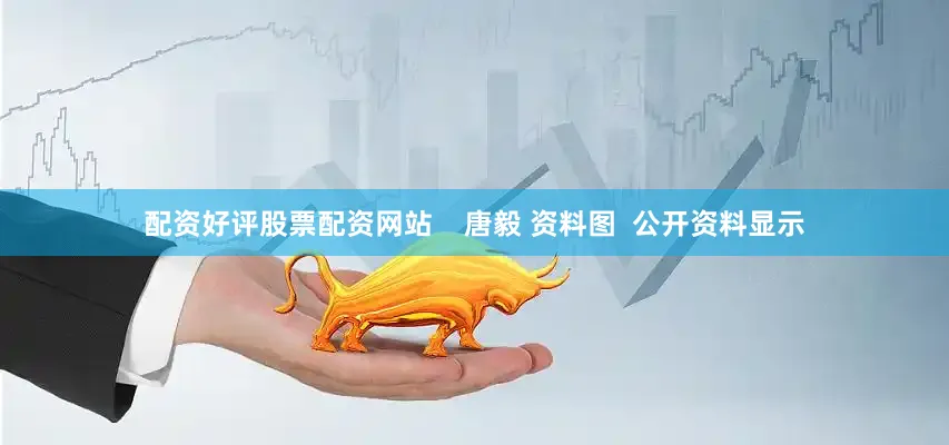 配资好评股票配资网站    唐毅 资料图  公开资料显示