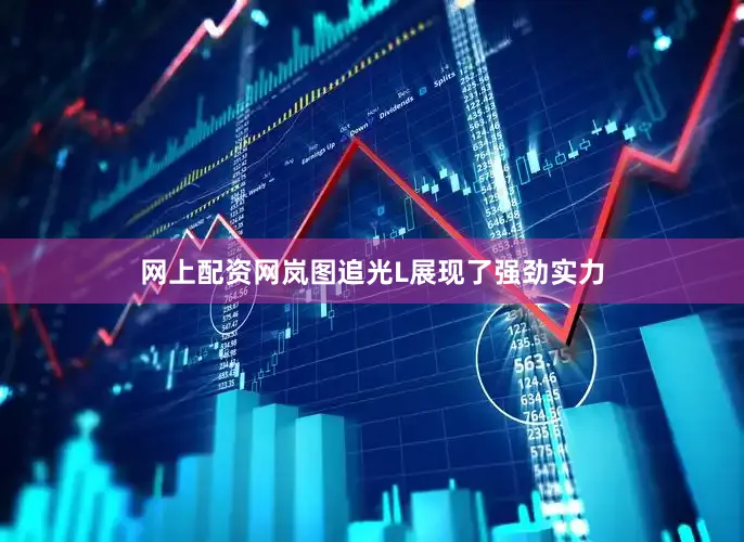 网上配资网岚图追光L展现了强劲实力