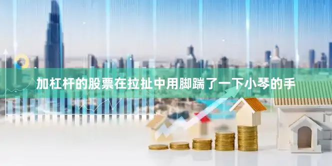 加杠杆的股票在拉扯中用脚踹了一下小琴的手