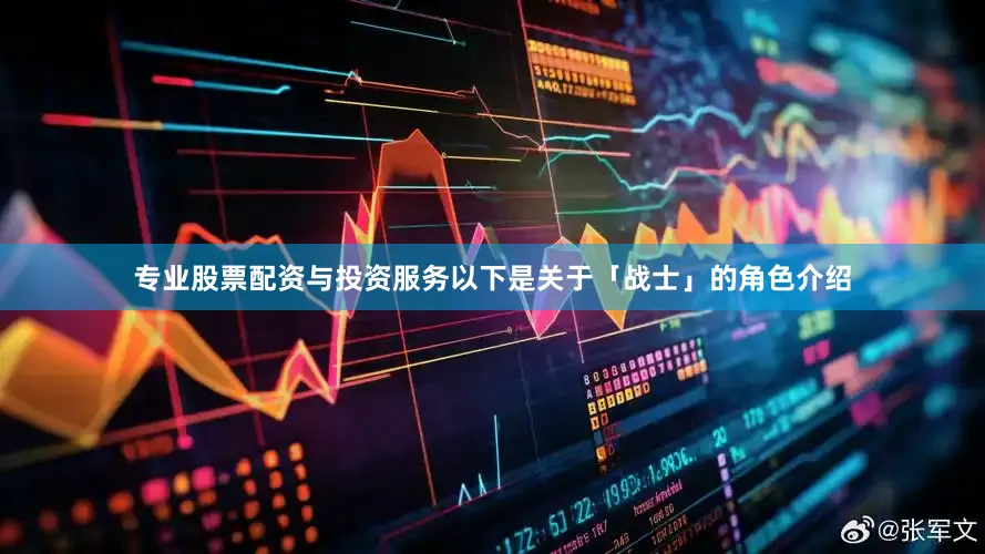 专业股票配资与投资服务以下是关于「战士」的角色介绍